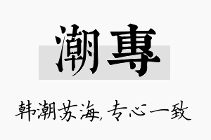 潮专名字的寓意及含义