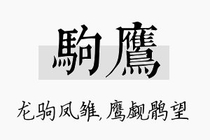 驹鹰名字的寓意及含义