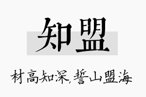 知盟名字的寓意及含义