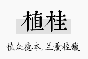 植桂名字的寓意及含义