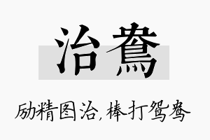 治鸯名字的寓意及含义