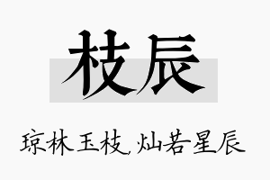 枝辰名字的寓意及含义