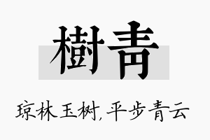 树青名字的寓意及含义