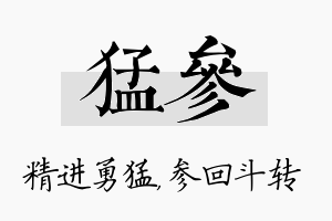 猛参名字的寓意及含义