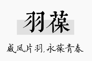 羽葆名字的寓意及含义