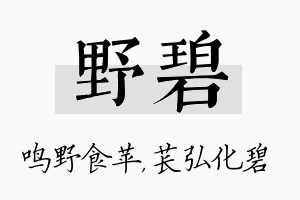 野碧名字的寓意及含义