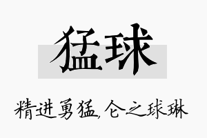 猛球名字的寓意及含义