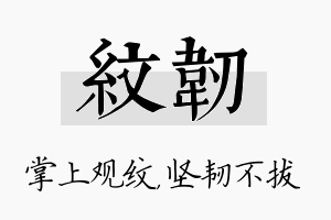 纹韧名字的寓意及含义