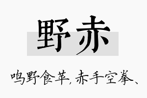 野赤名字的寓意及含义