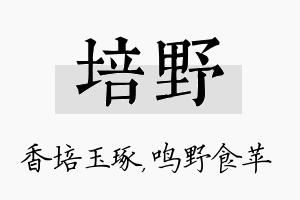 培野名字的寓意及含义