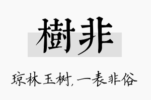 树非名字的寓意及含义