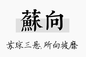 苏向名字的寓意及含义