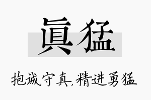 真猛名字的寓意及含义