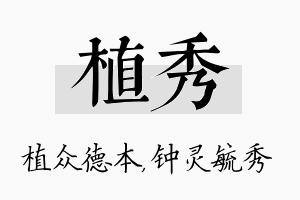 植秀名字的寓意及含义