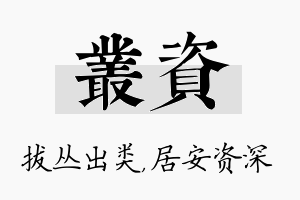 丛资名字的寓意及含义