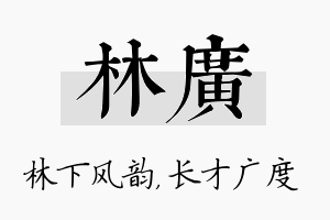 林广名字的寓意及含义