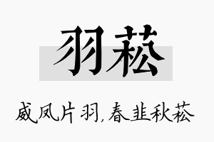 羽菘名字的寓意及含义