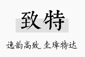 致特名字的寓意及含义