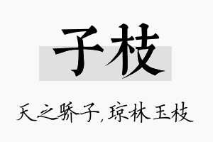 子枝名字的寓意及含义