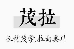 茂拉名字的寓意及含义