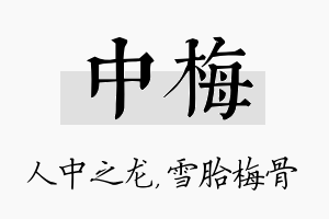 中梅名字的寓意及含义