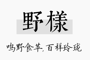 野样名字的寓意及含义