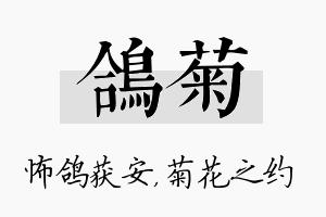 鸽菊名字的寓意及含义