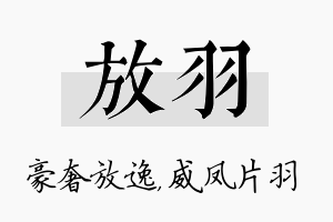 放羽名字的寓意及含义