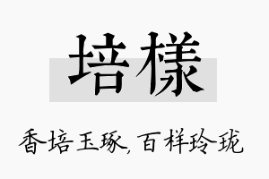 培样名字的寓意及含义