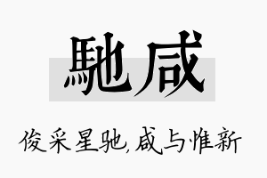 驰咸名字的寓意及含义