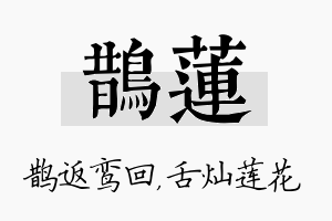 鹊莲名字的寓意及含义