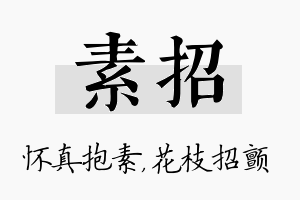 素招名字的寓意及含义