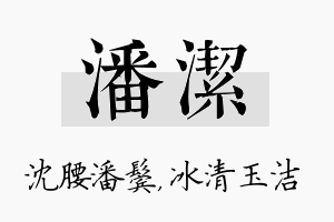 潘洁名字的寓意及含义