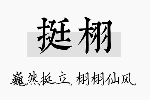 挺栩名字的寓意及含义