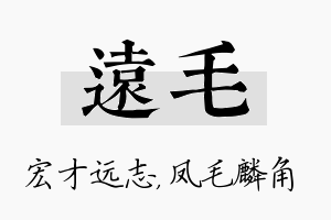 远毛名字的寓意及含义