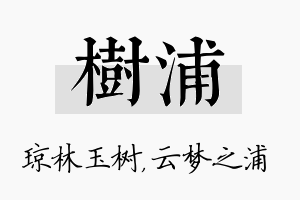 树浦名字的寓意及含义