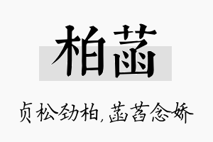 柏菡名字的寓意及含义