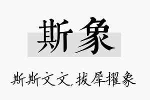 斯象名字的寓意及含义