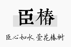 臣椿名字的寓意及含义