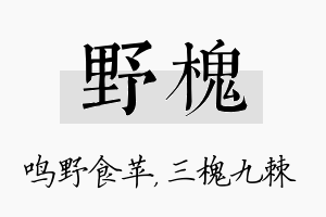 野槐名字的寓意及含义