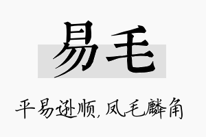 易毛名字的寓意及含义