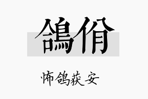 鸽佾名字的寓意及含义