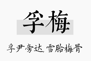 孚梅名字的寓意及含义