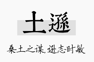 土逊名字的寓意及含义