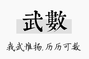 武数名字的寓意及含义