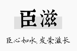 臣滋名字的寓意及含义