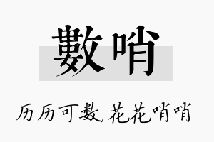 数哨名字的寓意及含义