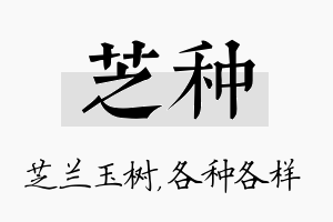 芝种名字的寓意及含义