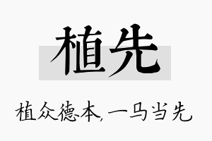 植先名字的寓意及含义