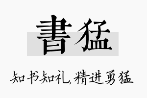 书猛名字的寓意及含义